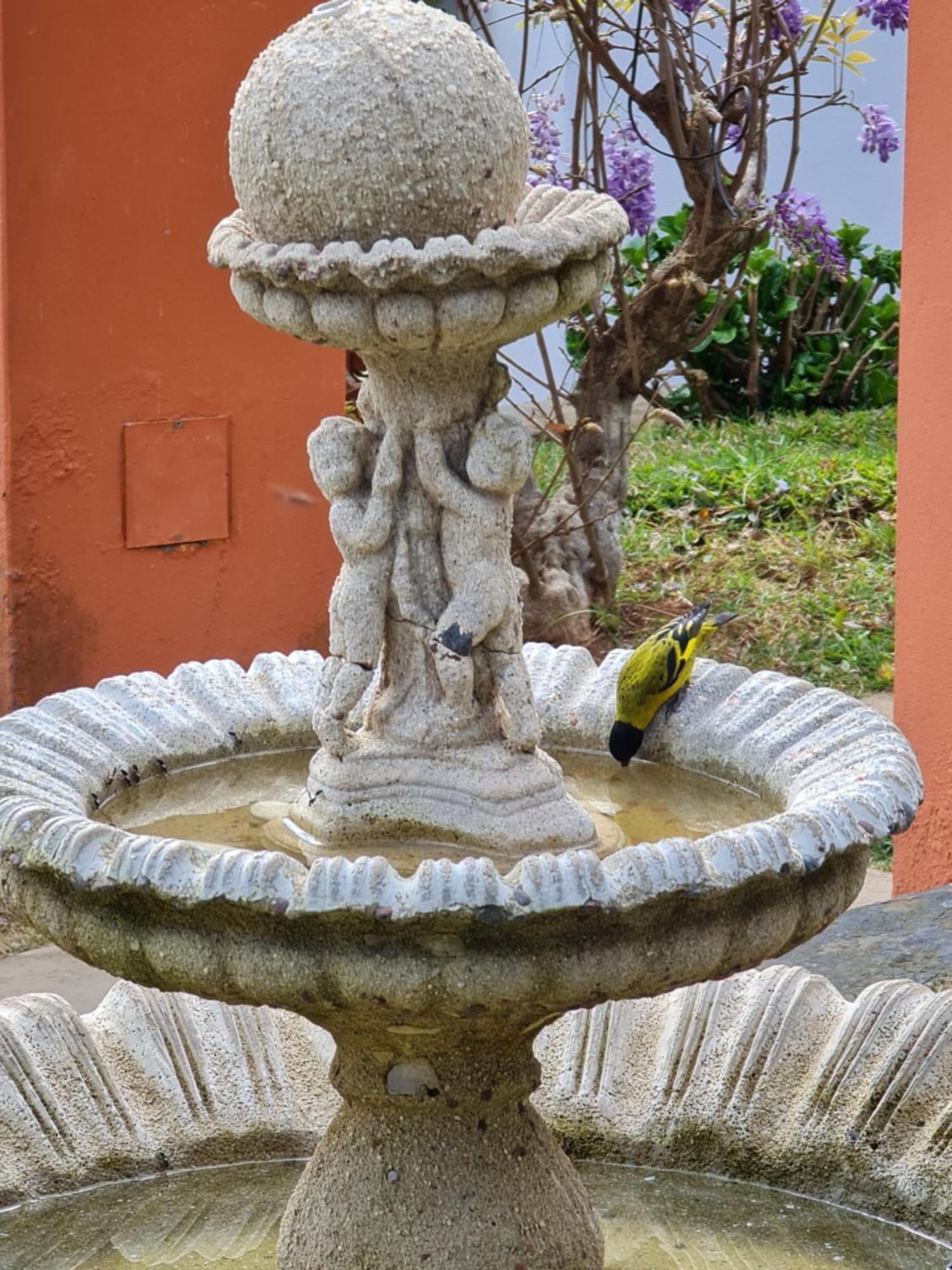 Chales Valle Florido Monte Verde  Εξωτερικό φωτογραφία